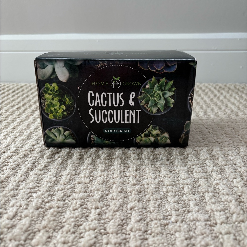 Cactus & Succulent starter kit!